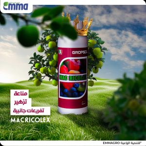 Mac Ricolex New copy_11zon