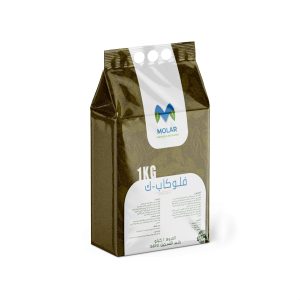 molar mockup bagnew copy2_11zon