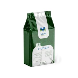 molar mockup bagnew copy_11zon